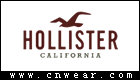 HOLLISTER (霍利斯特/Hollister Co.)品牌LOGO