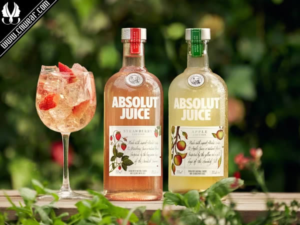 ABSOLUT (绝对伏特加)品牌形象展示