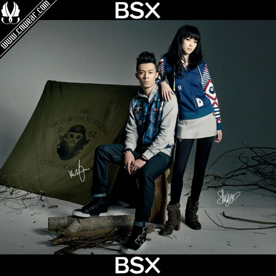 BSX (宝斯特)品牌形象展示