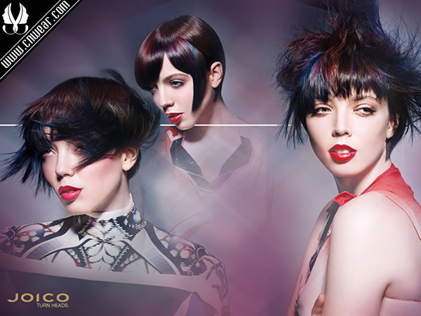 JOICO (嘉珂)品牌形象展示