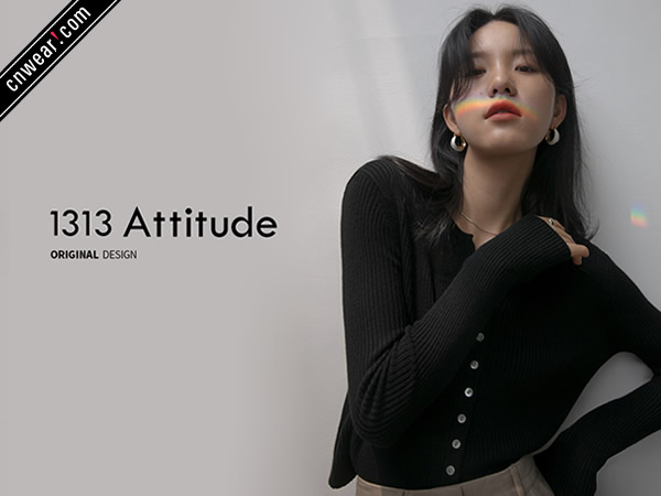 1313 Attitude品牌形象展示