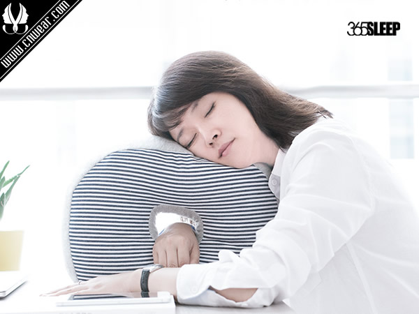 365SLEEP (睡眠用具)品牌形象展示