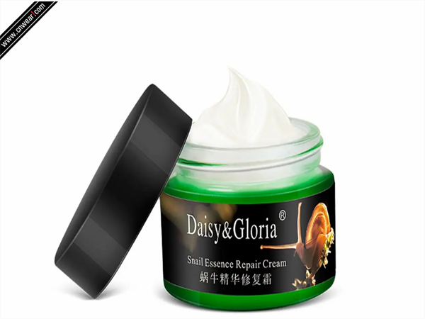 daisygloria品牌形象展示