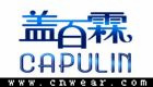 盖百霖品牌LOGO