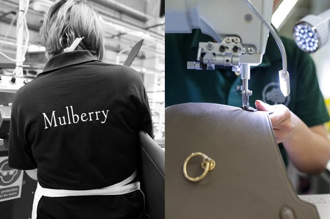 关于Mulberry 你需要知道这些